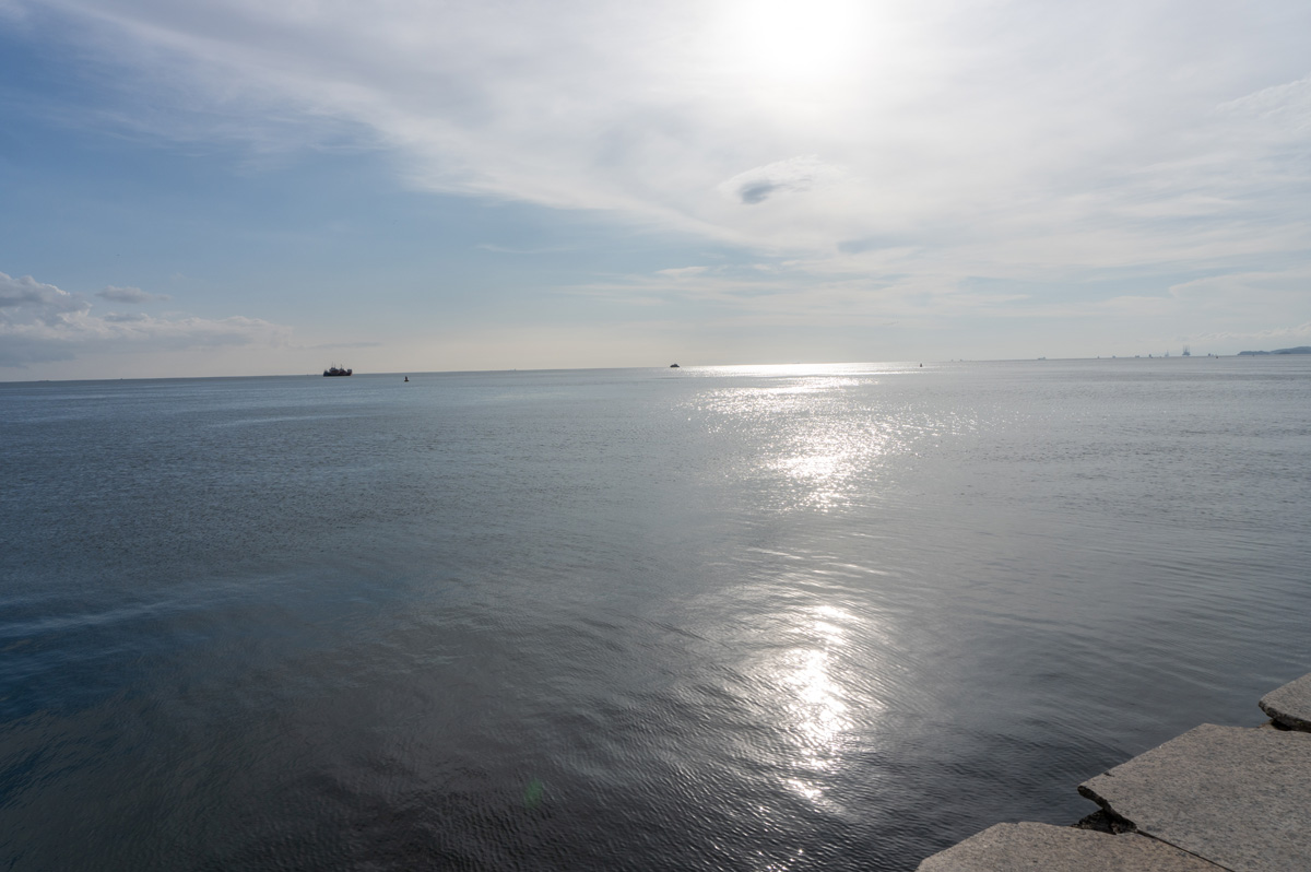 Trinidad: Port of Spain, Caribbean View
