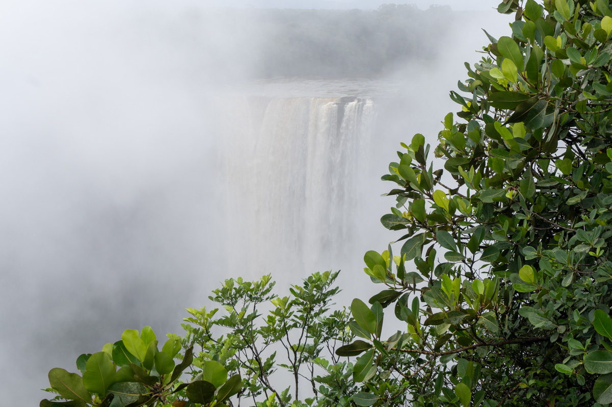 Guyana: Kaieteur Falls, Gee, there