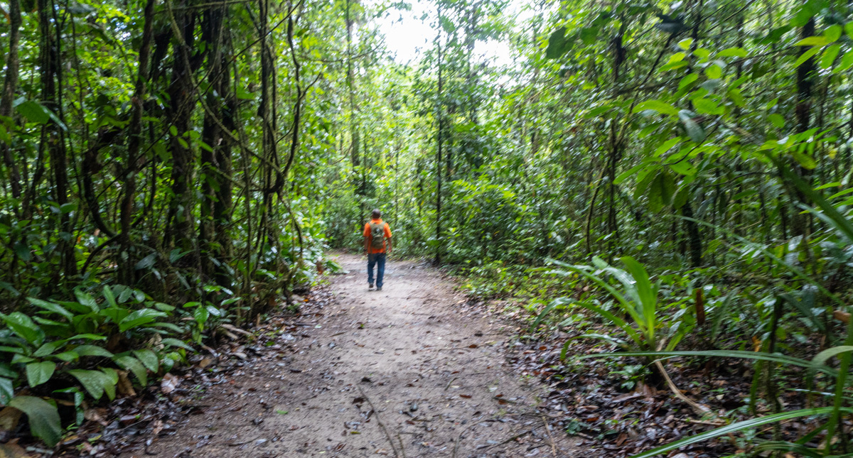 Cloud Forest walk, Cloud Forest stroll