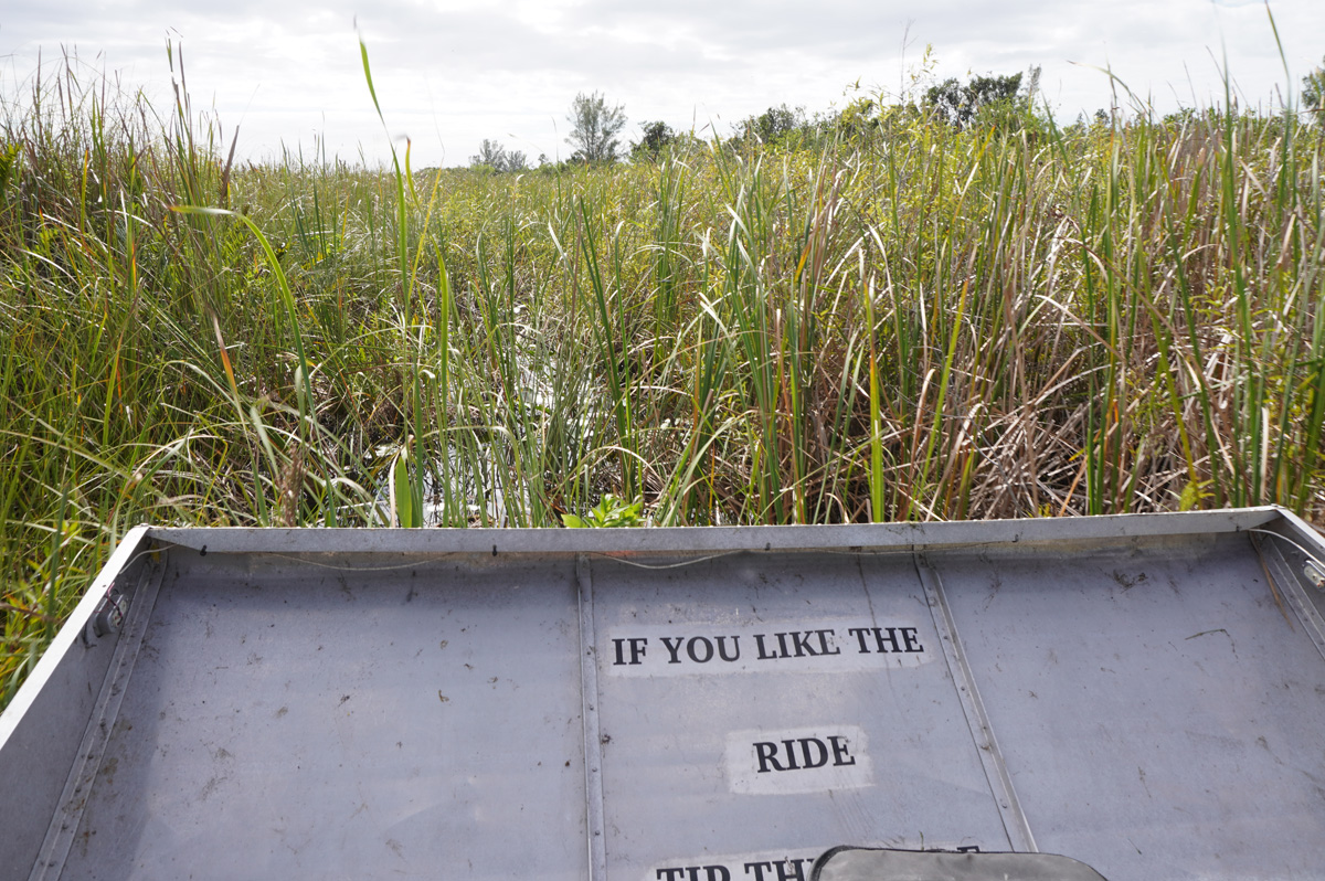Florida: Everglades Airboat Tour, Pushing over/through dense vegetation