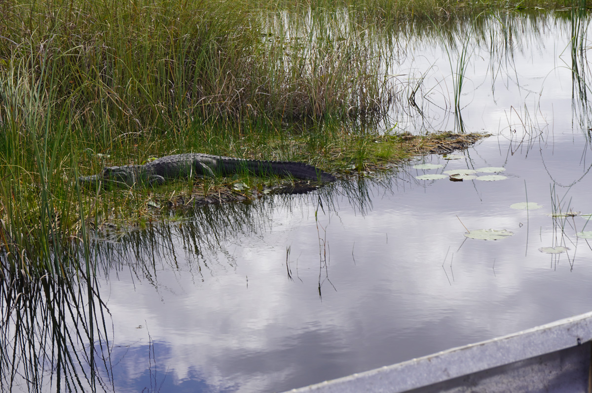 Florida: Everglades Airboat Tour