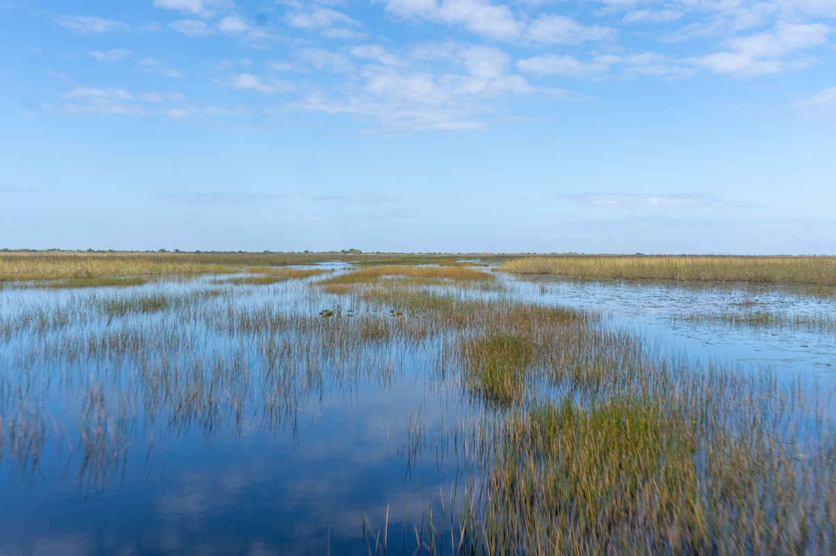 Florida: Everglades Airboat Tour
