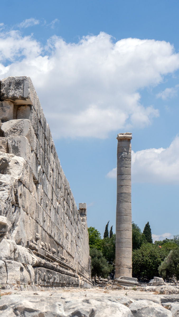 Temple of Apollo at Didyma, Giant unfinished pillar Only the very top few inches are fluted