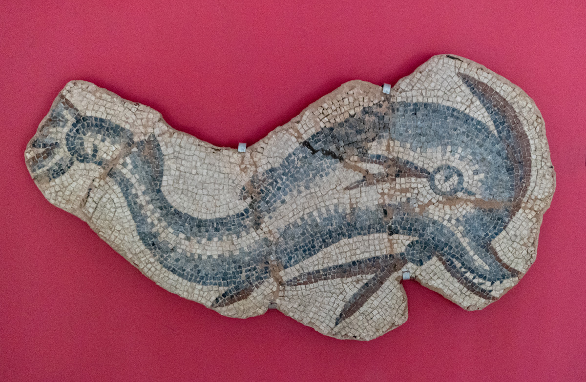Izmir History and Arts Museum, Dolphin Mosaic, Pergamon 5th-6th c AD
