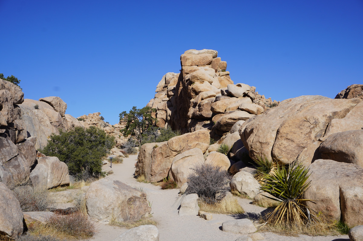 Joshua Tree National Park, Hidden Valley Trail entrance