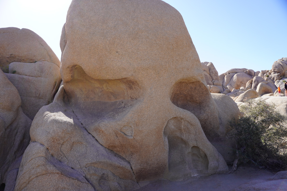 Joshua Tree National Park, Skull Rock