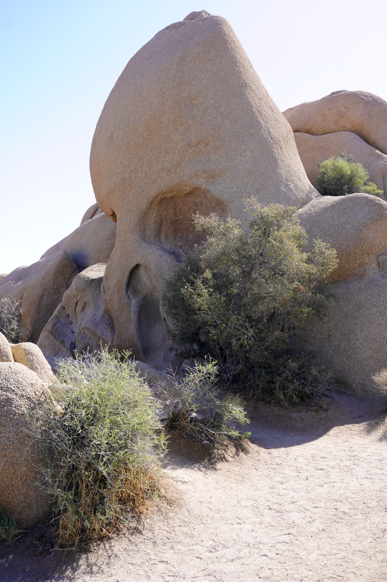 Joshua Tree National Park, Skull Rock