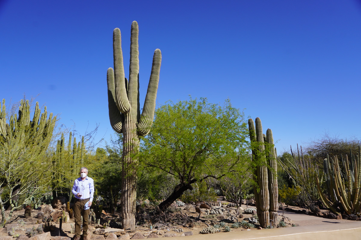 Phoenix: Desert Botanical Garden