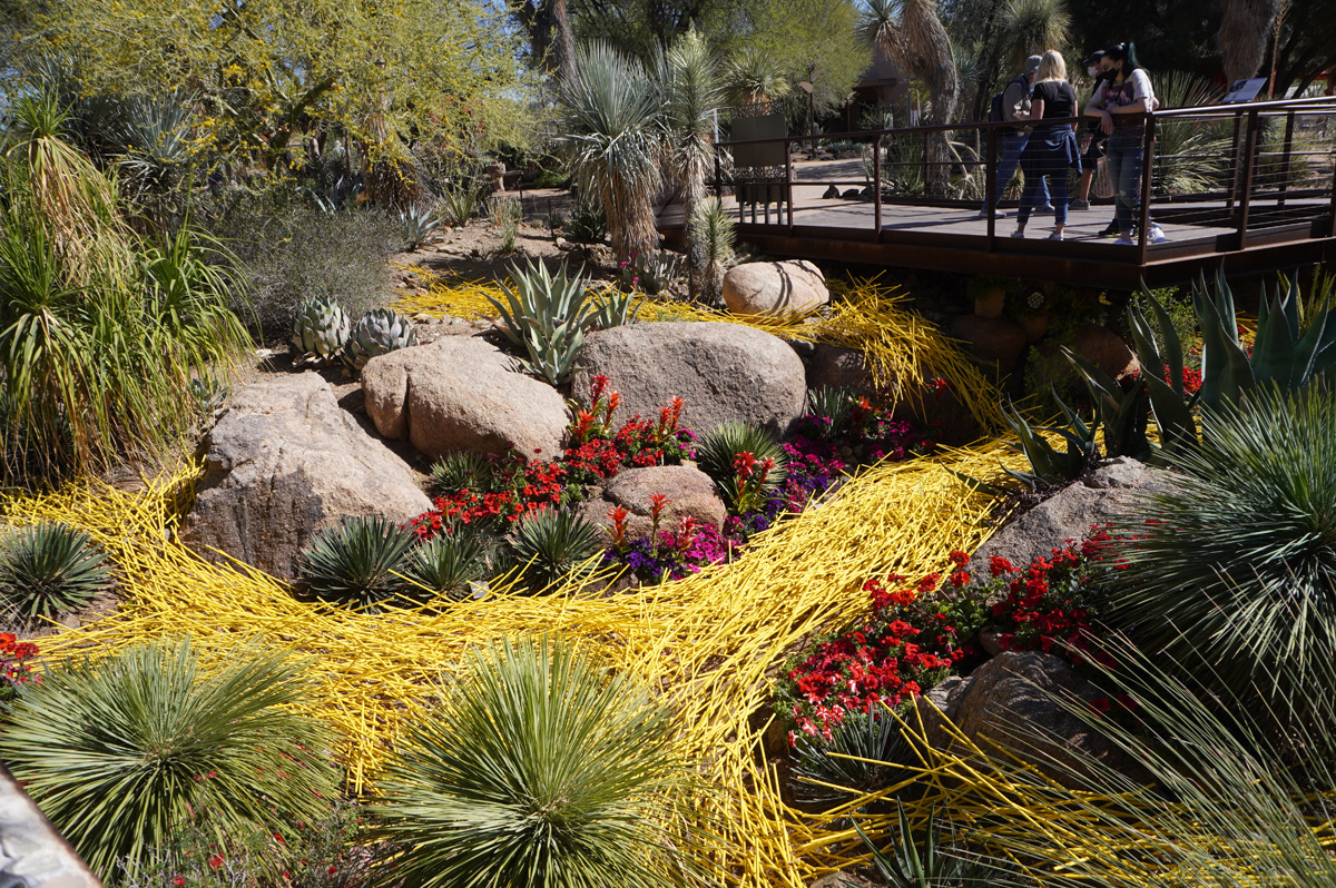 Phoenix: Desert Botanical Garden