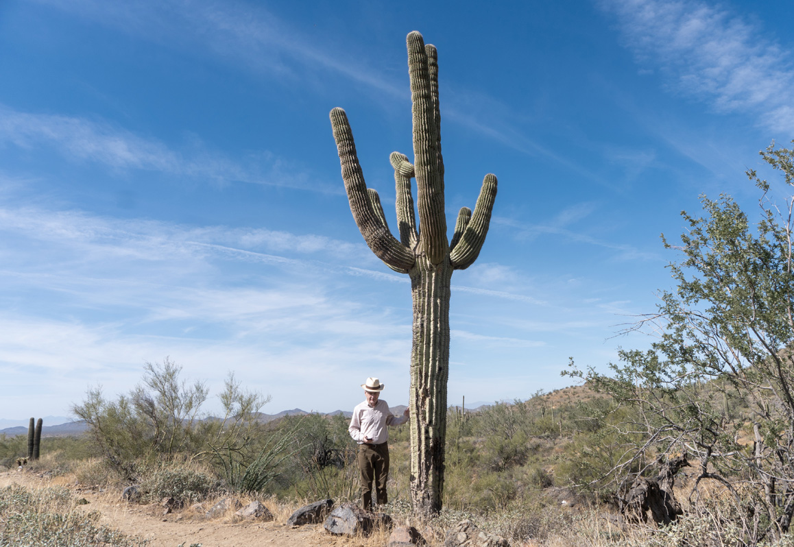 Cave Creek Regional Park: Quartz Trail