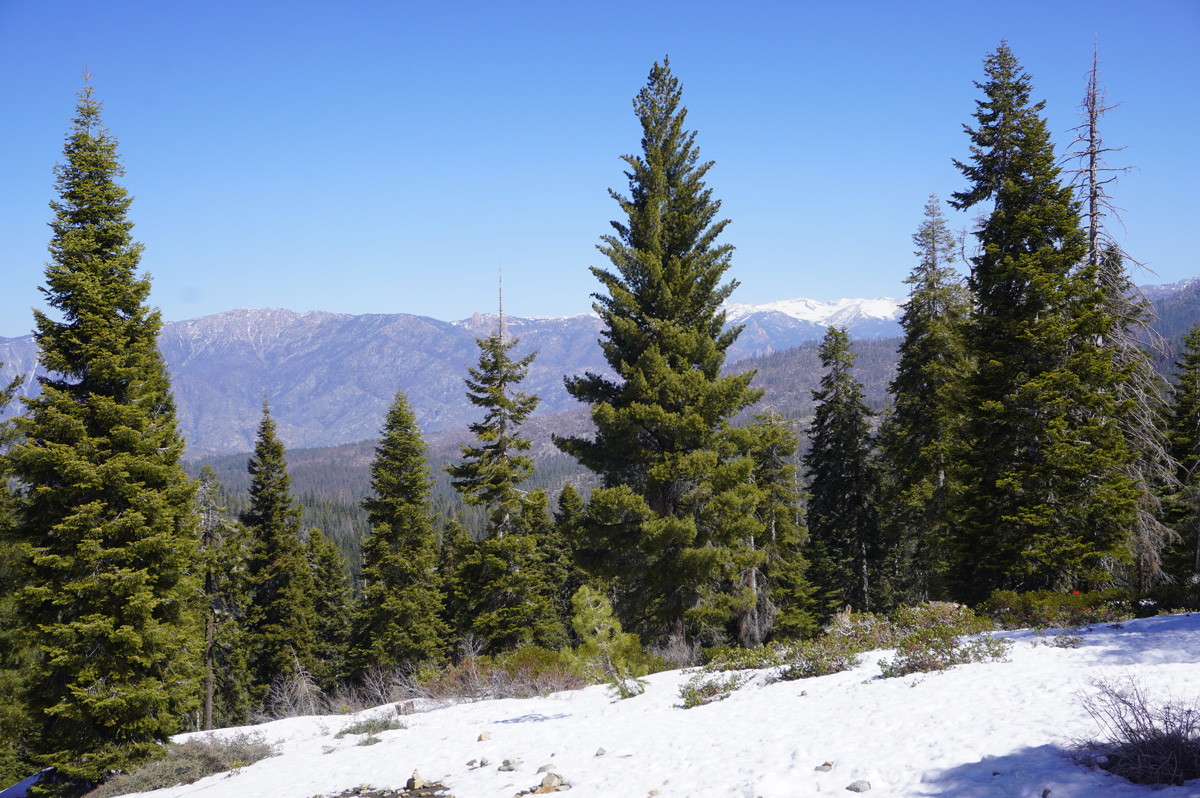 Sequoia National Park, Snow on the ground, even in April