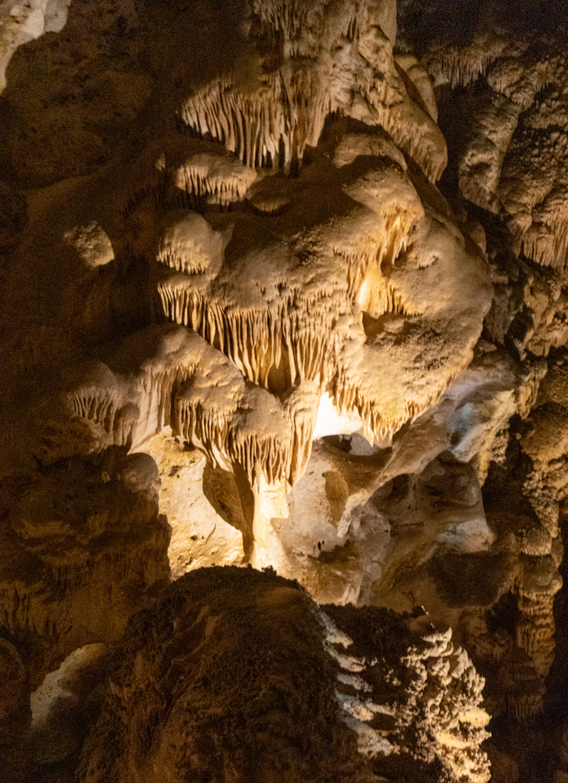 Carlsbad Caverns National Park, Cthulhoid tentacles everywhere