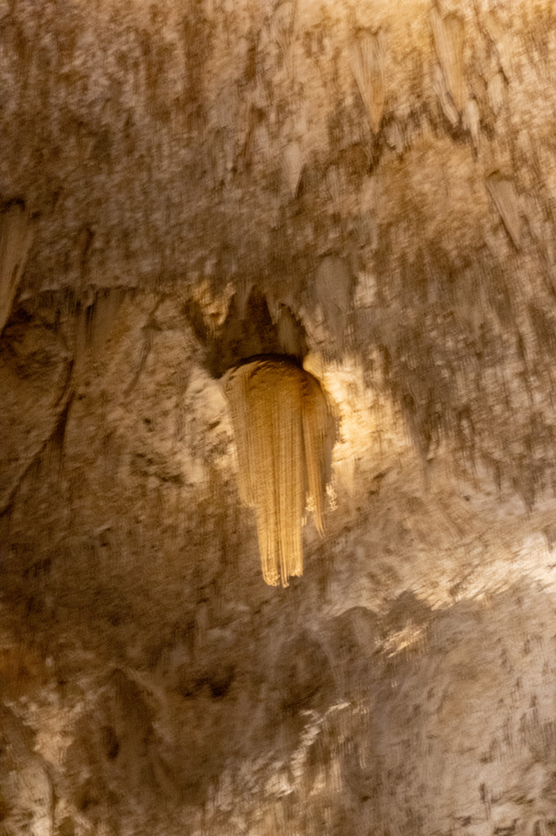 Carlsbad Caverns National Park, Cthulhoid Horror descending from ceiling