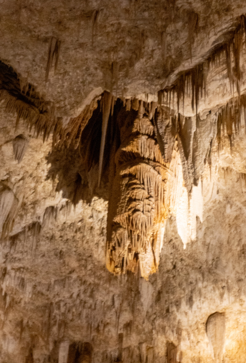 Carlsbad Caverns National Park