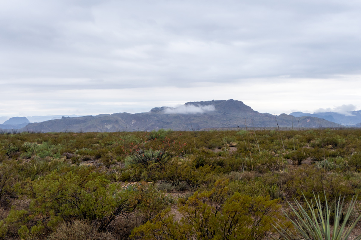 Big Bend National Park, An overcast, often drizzly, day