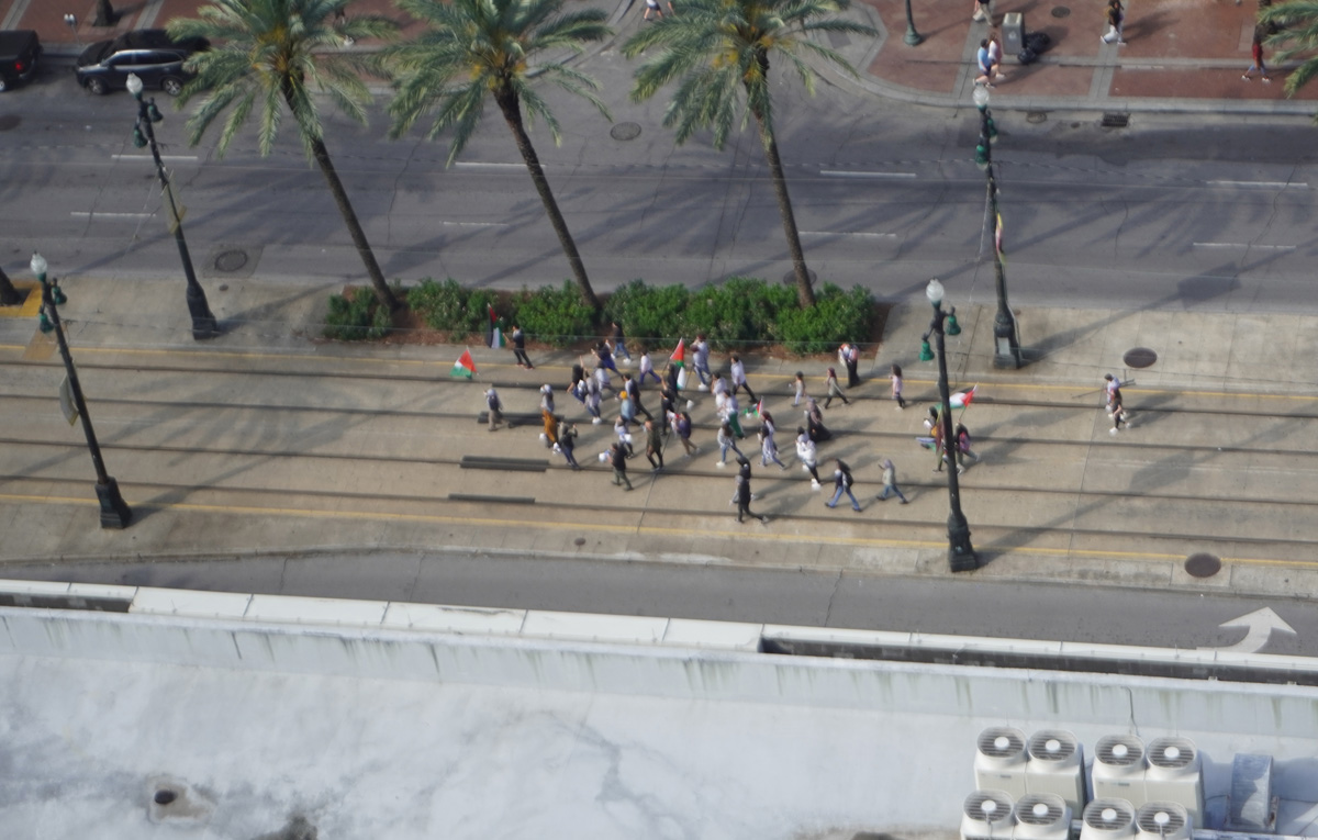 Around New Orleans, Small but loud pro-Palestinian demo