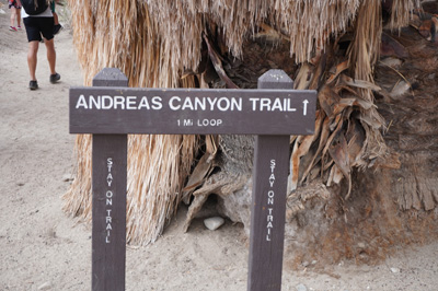 Andres Canyon Entrance, Indian Canyons, California March 2021