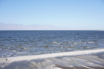 Salton Sea, Palm Springs to Yuma, California March 2021