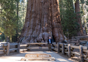 General Grant + Scotsman, Sequoia National Park, California March 2021