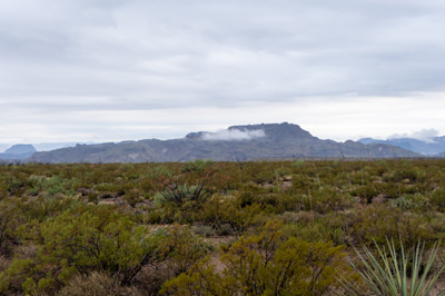 An overcast, often drizzly, day, Big Bend National Park, Texas May 2021