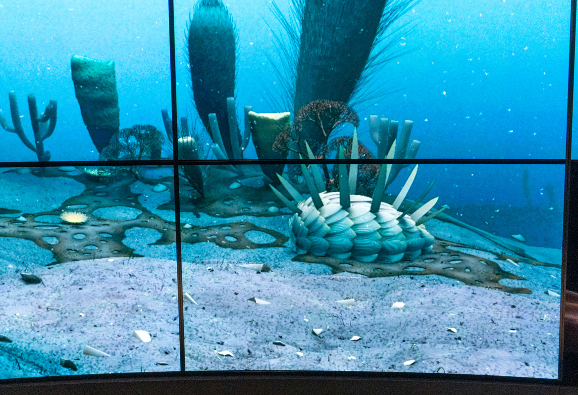 Royal Ontario Museum, With a scuttling Wiwaxia