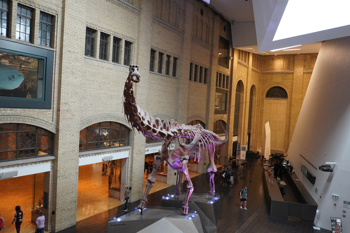 Royal Ontario Museum, Main Hall with Dinosaur