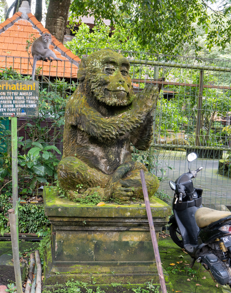 Ubud: Sacred Monkey Forest, Welcoming Monkey and Monkey God