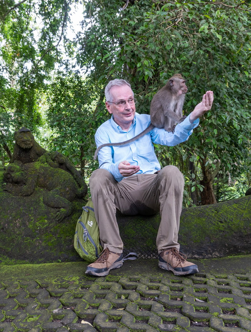 Ubud: Sacred Monkey Forest