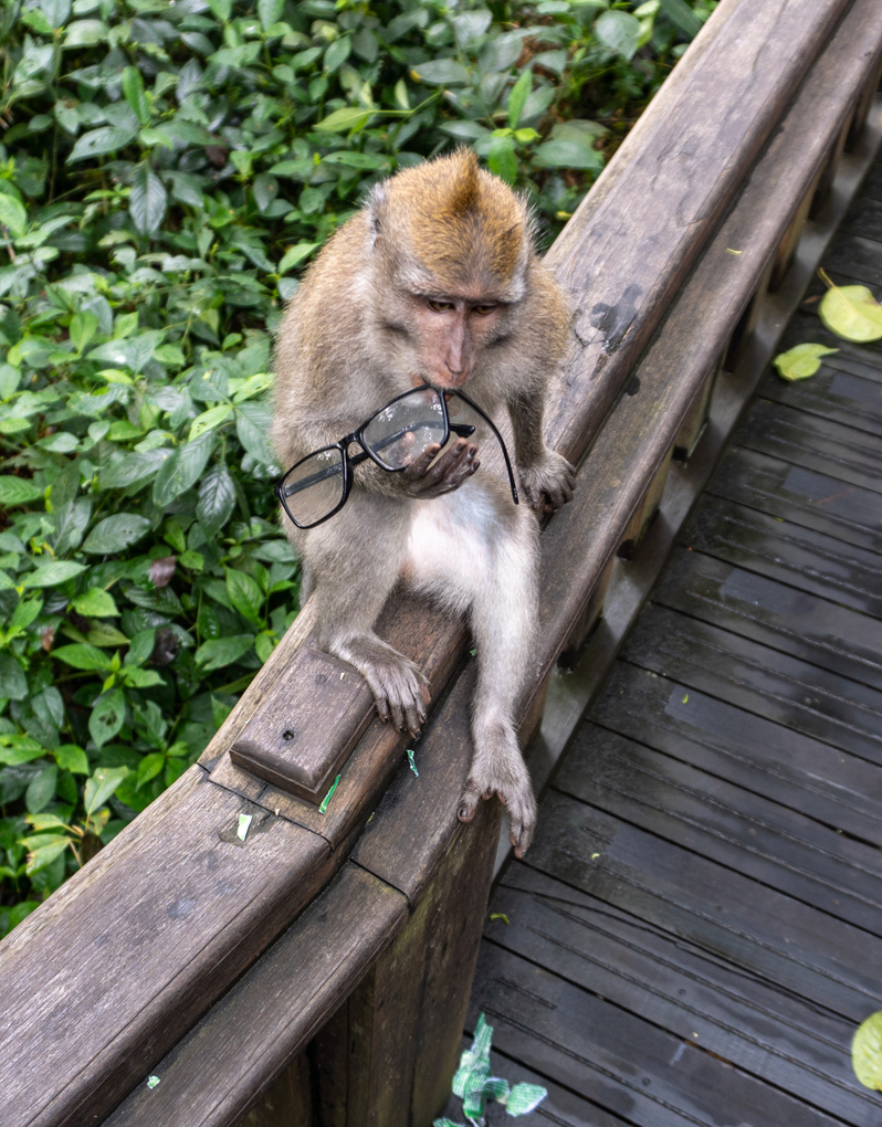 Ubud: Sacred Monkey Forest