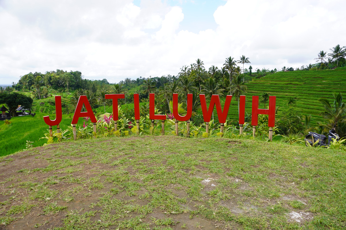 Jatiluwih Rice Terraces