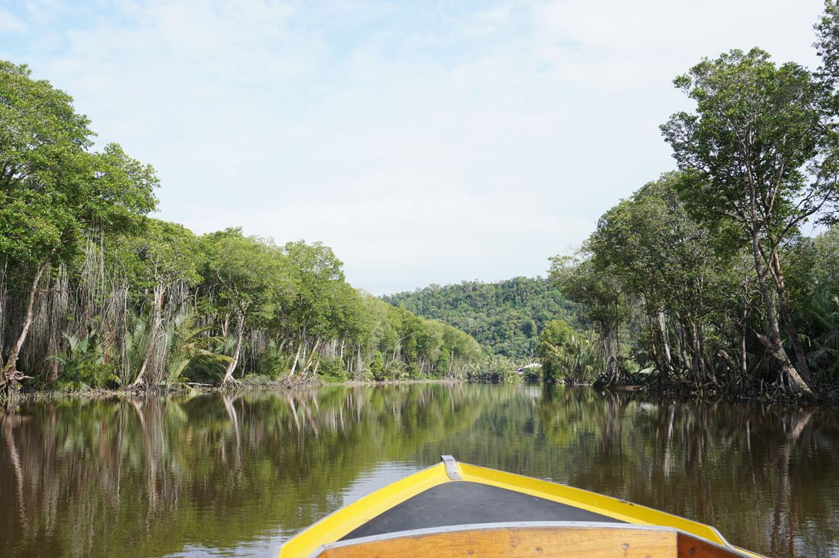 Brunei River trip