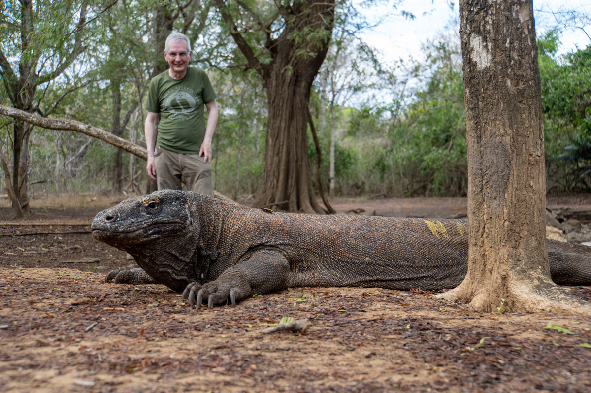 Komodo Dragon #1