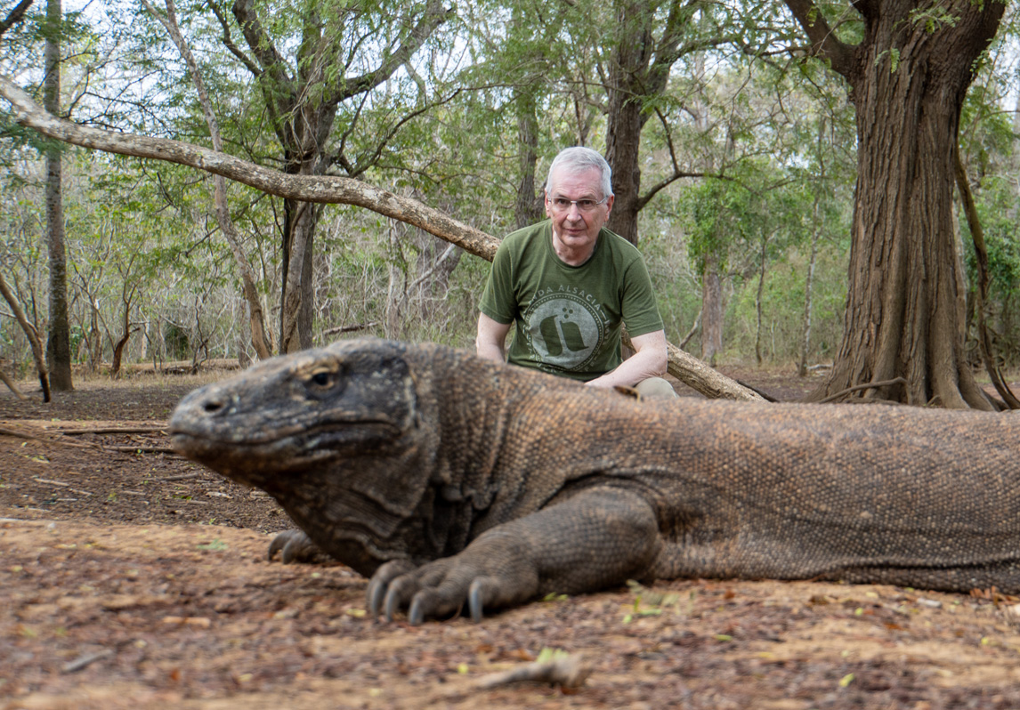 Komodo Dragon #1