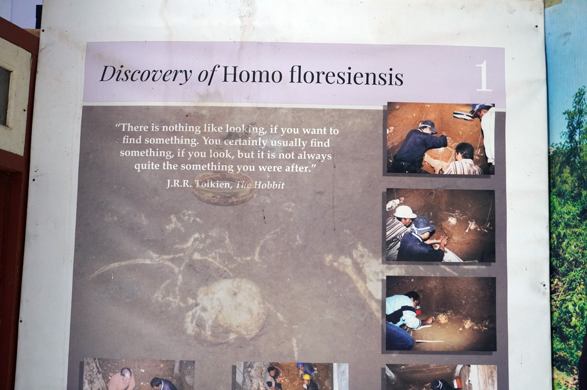 Liang Bua "Hobbit Cave"</b>, Museum Signage. Note Tolkien quote #1