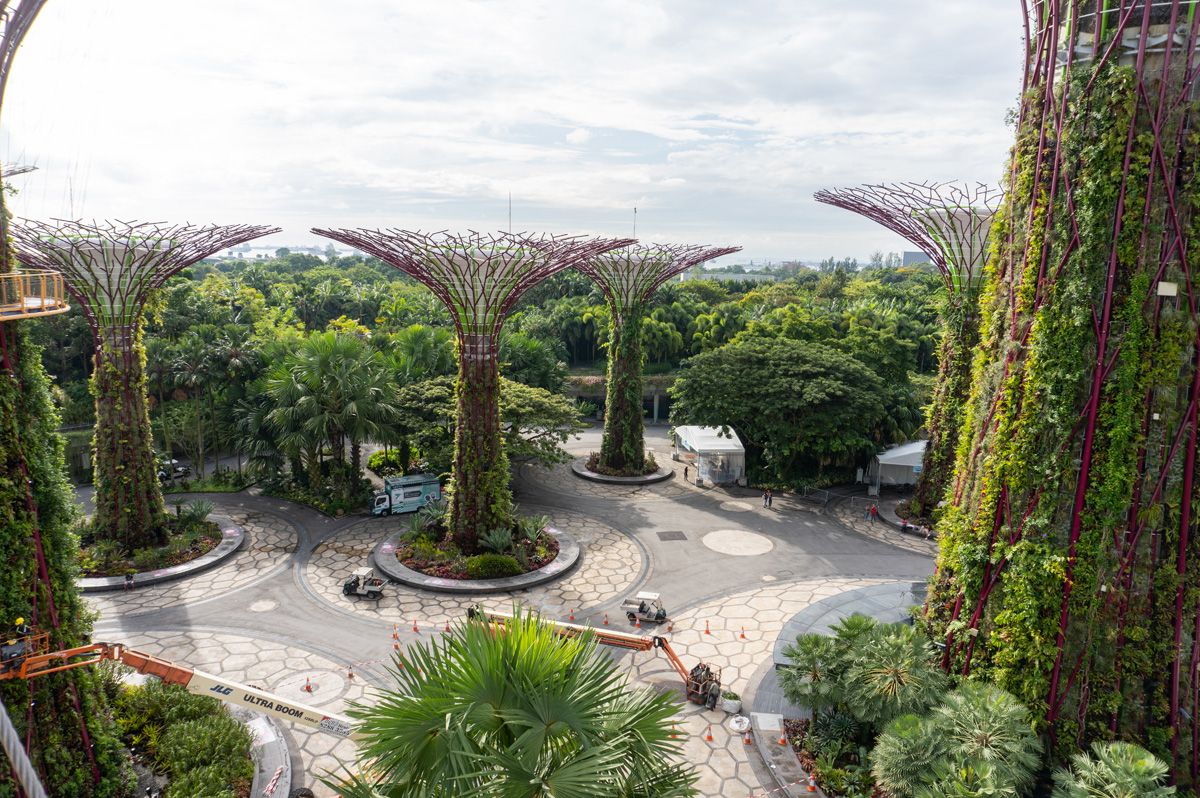 Gardens by the Bay: Supertree Grove