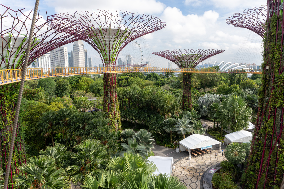 Gardens by the Bay: Supertree Grove, Supertree Walkway