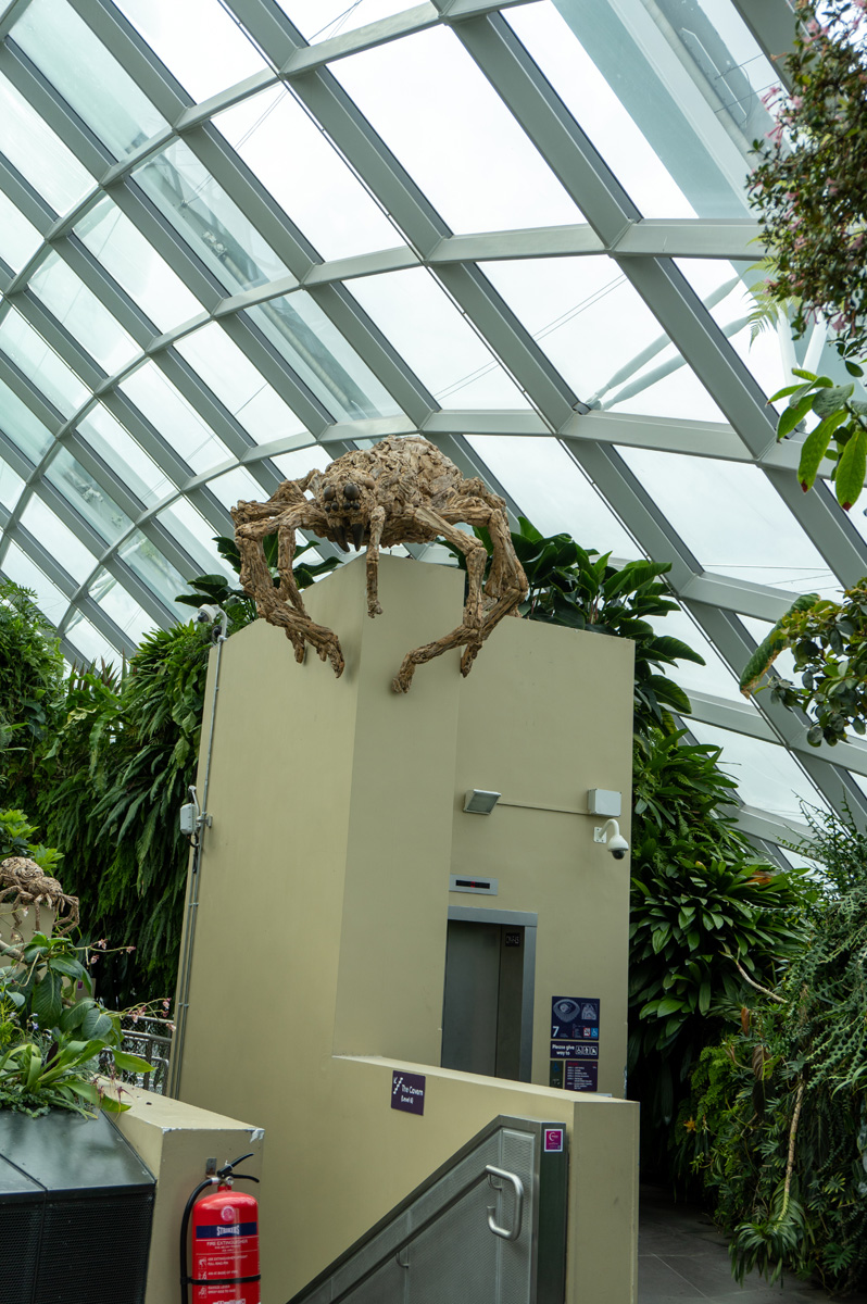 Gardens by the Bay: Cloudforest Dome, Giant Singapore Spider