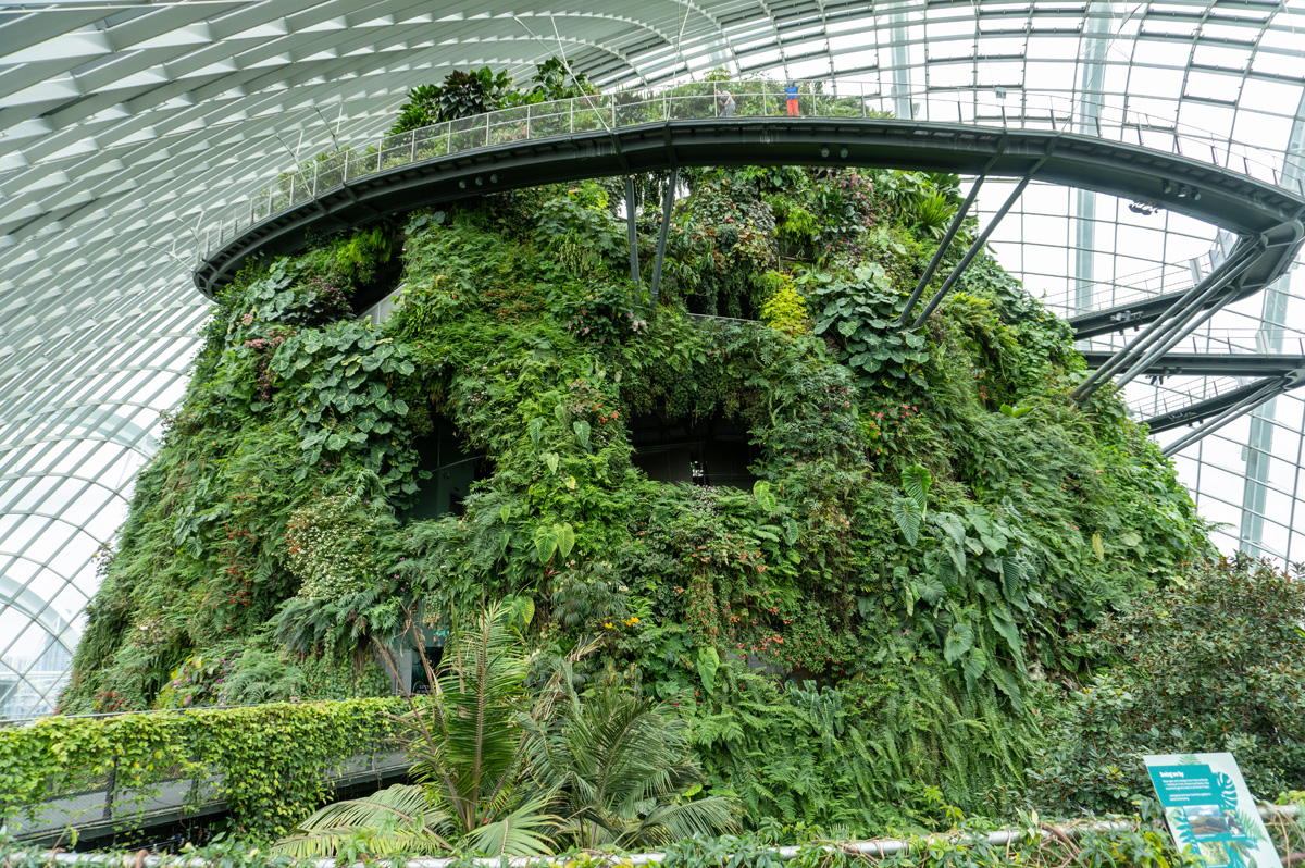 Gardens by the Bay: Cloudforest Dome, The Summit