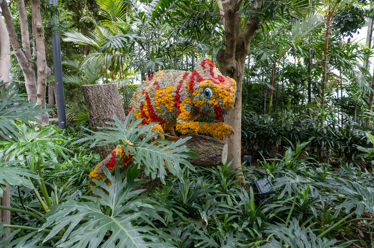 Singapore Airport: The Jewel, Welcome to Canopy Park