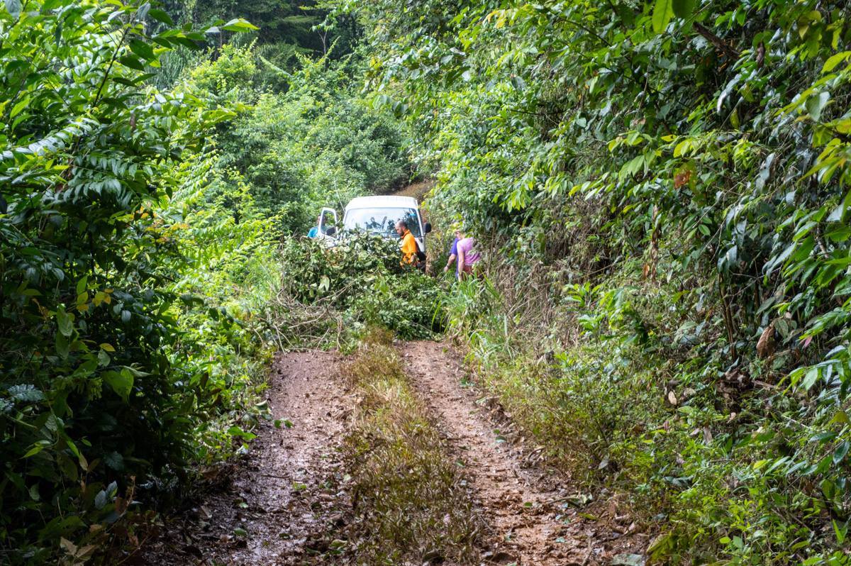 Brownsberg, Abother, smaller, blockage on the road