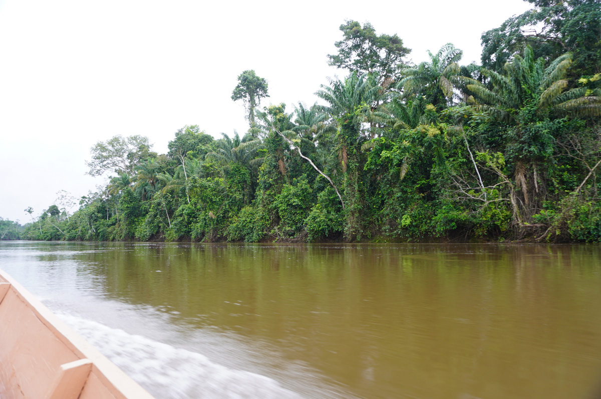 Kabalebo Nature Resort, Back out on the river...