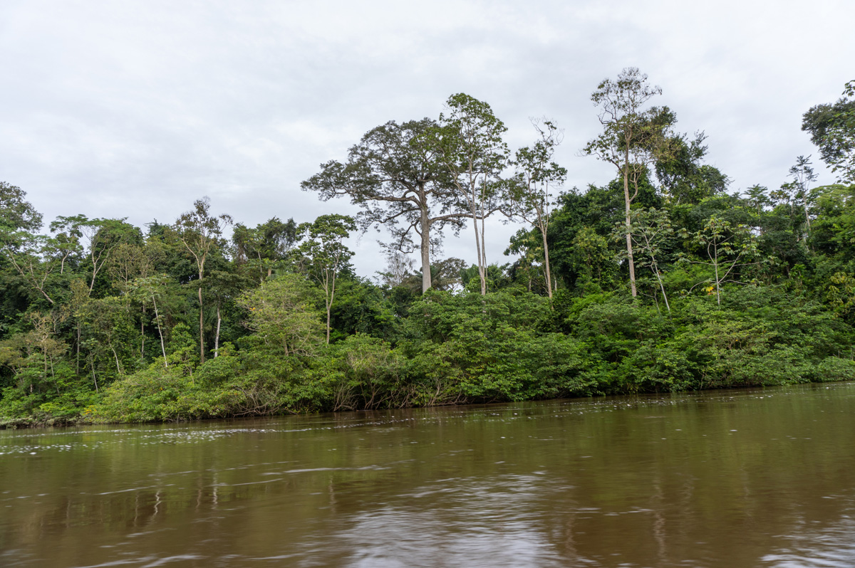Kabalebo Nature Resort