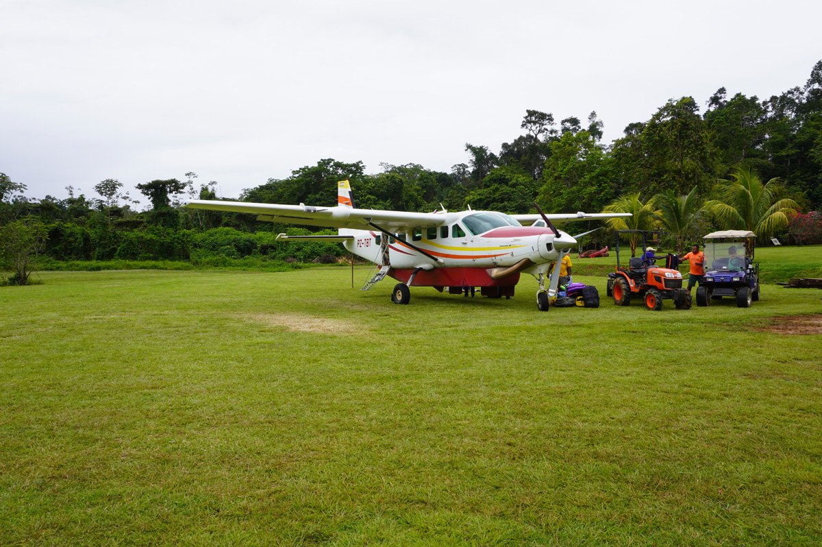 Kabalebo Nature Resort, Time to fly back!