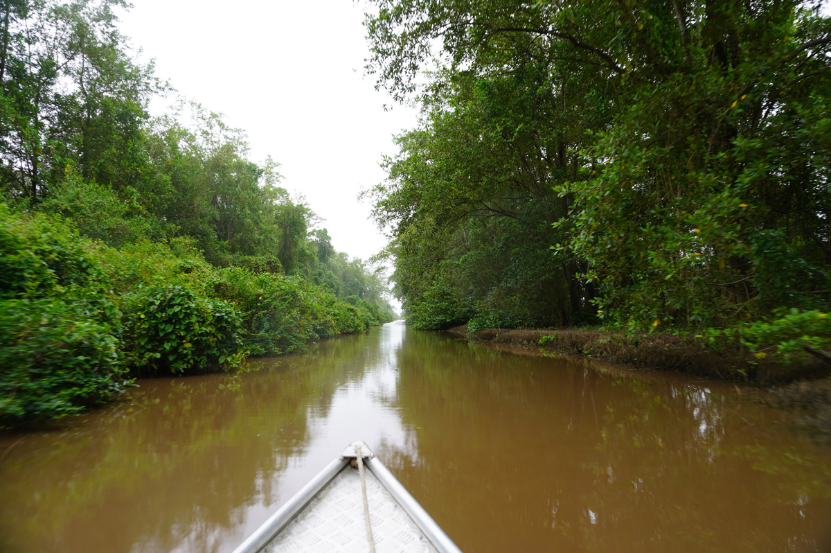 Tour to Nieuw Nickerie, Canal to Bigi Pan