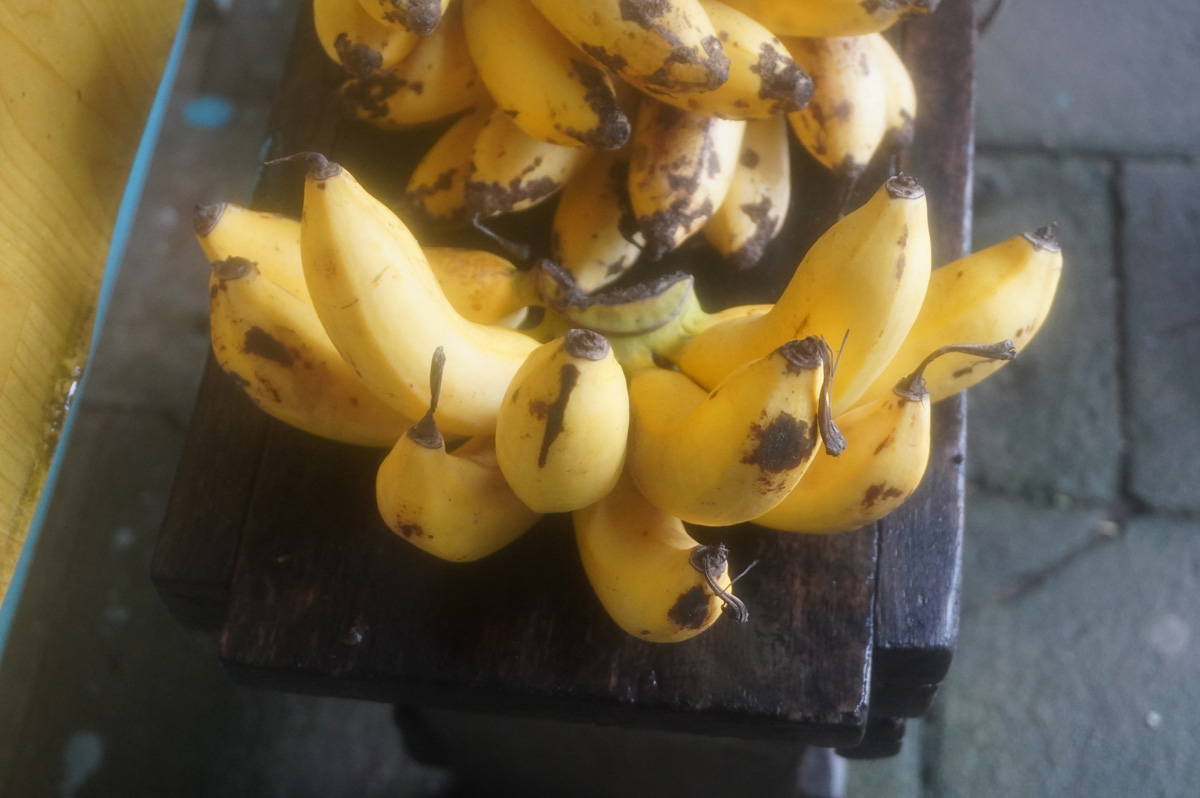Tour to Nieuw Nickerie, Nieuw Nickerie Markt: Real yellow bananas