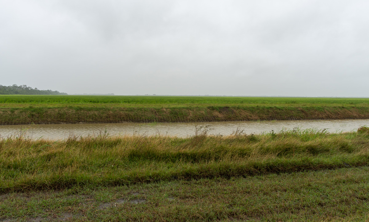 Tour to Nieuw Nickerie, Onee of Nieuw Nickerie