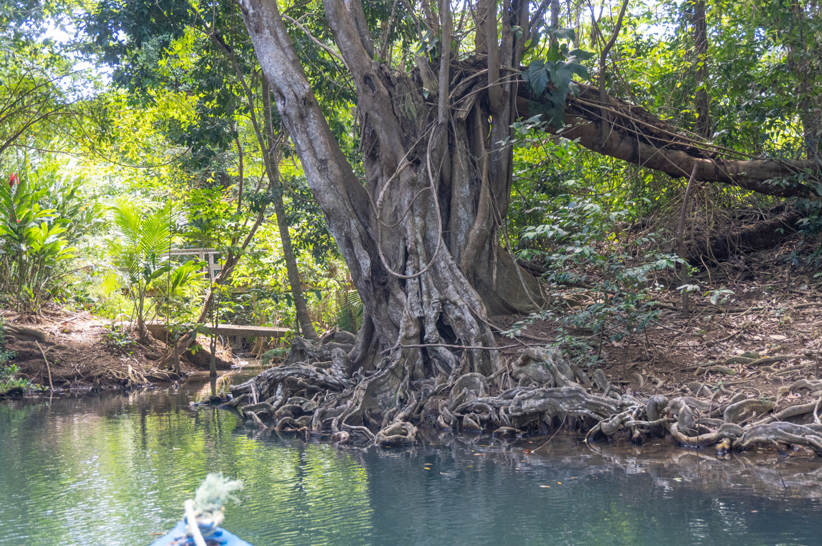 Indian River