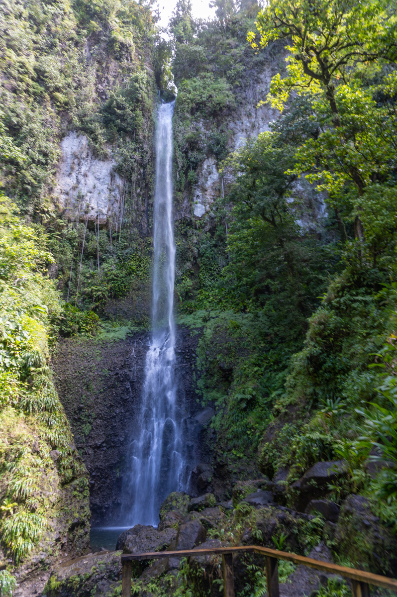 Waterfalls, Middleham Falls