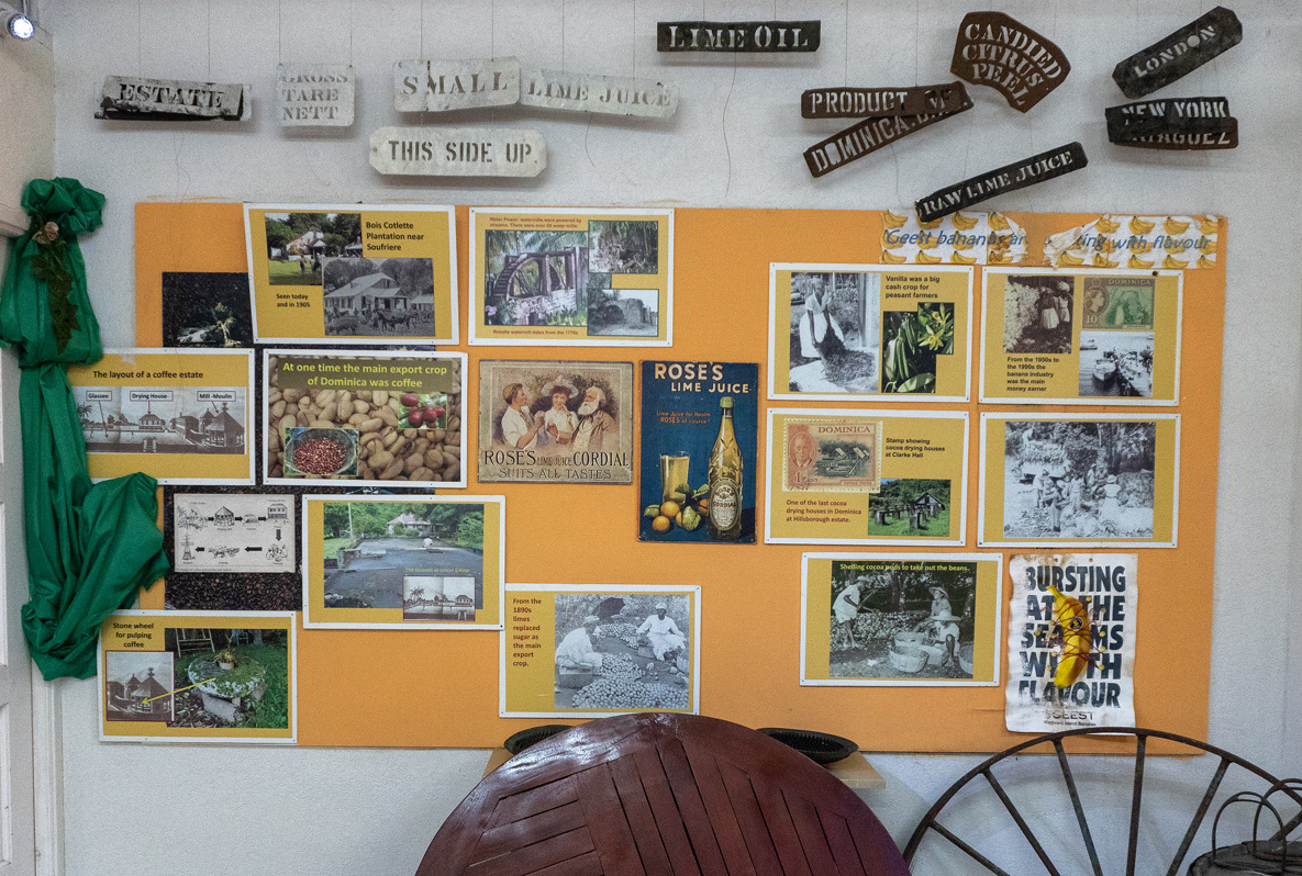 Roseau, Dominica Museum: Export Crops Sugar, Coffe, Lime Juice, Vanilla, Bananas, ...