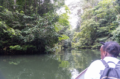Into a seasonal creek, Afobaka Dam and Lake Brokopondo, 2022 Suriname